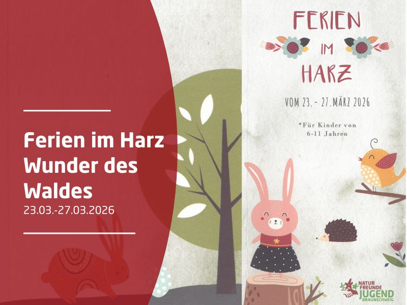 Ferien im Harz - Wunder des Waldes